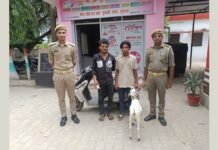 UP: एक्टिवा से बकरा चोरी करने वाले दो शातिर चोर गिरफ्तार, पुलिस ने बरामद किया चोरी का माल