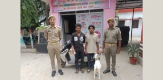 UP: एक्टिवा से बकरा चोरी करने वाले दो शातिर चोर गिरफ्तार, पुलिस ने बरामद किया चोरी का माल