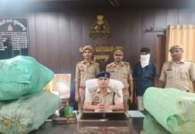 UP: सुल्तानपुर में STF का बड़ा एक्शन, 104 किलो गांजा और डीसीएम समेत तस्कर गिरफ्तार