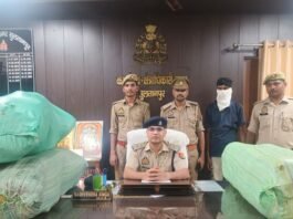 UP: सुल्तानपुर में STF का बड़ा एक्शन, 104 किलो गांजा और डीसीएम समेत तस्कर गिरफ्तार