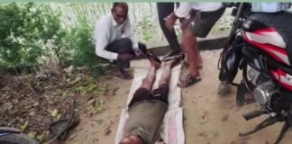 UP: सड़क किनारे बोरी पर लिटाकर लगाए गए टांके, वायरल वीडियो से स्वास्थ्य व्यवस्था पर उठे गंभीर सवाल