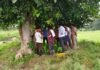 UP: 10 फीट गहरे कुएं में गिरे सांड का सफल रेस्क्यू, दो घंटे की मशक्कत के बाद बचाई गई जान