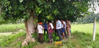 UP: 10 फीट गहरे कुएं में गिरे सांड का सफल रेस्क्यू, दो घंटे की मशक्कत के बाद बचाई गई जान