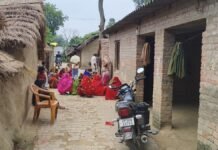 UP: रात में सोते समय 11 वर्षीय मासूम को सांप ने डसा, अस्पताल पहुंचते ही डॉक्टरों ने किया मृत घोषित