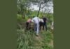 यूपी-112 और फायर ब्रिगेड ने झोंकी पूरी ताकत, मगर अंधे कुएं से जिंदा नहीं निकल सकी गाय