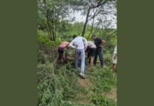 यूपी-112 और फायर ब्रिगेड ने झोंकी पूरी ताकत, मगर अंधे कुएं से जिंदा नहीं निकल सकी गाय