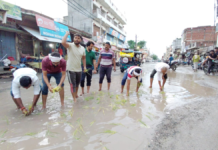 बलिया में अजब-गजब विरोध! सीवर की खुदाई से त्रस्त लोगों ने गड्ढों में रोपा धान, बोले- मोहनजोदड़ो जैसी हो गई है सड़क
