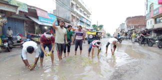 बलिया में अजब-गजब विरोध! सीवर की खुदाई से त्रस्त लोगों ने गड्ढों में रोपा धान, बोले- मोहनजोदड़ो जैसी हो गई है सड़क