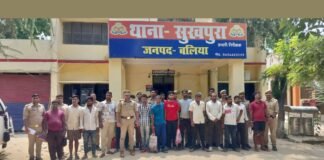UP: बलिया में दो जगह छापेमारी से मचा हड़कंप, 15 कथित गौ-तस्कर गिरफ्तार, 14 वाहन जब्त