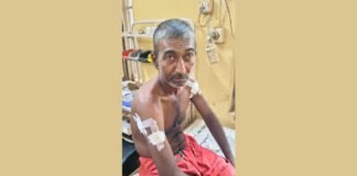 बहराइच में खेत की रखवाली कर रहे किसान पर तेंदुए का हमला, ग्रामीणों ने सुरक्षा की मांग की