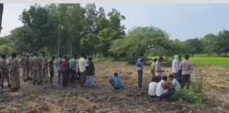 UP: अमेठी में खेत में मिला 85 वर्षीय वृद्धा का शव, 10 दिन पहले मायके आई थीं, जांच में जुटी पुलिस