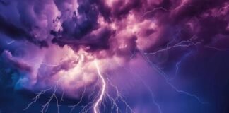उत्तर प्रदेश : मौत बनकर गिरी आसमानी बिजली! खेत में काम कर रहे किसान की मौके पर दर्दनाक मौत