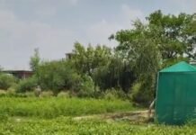 उत्तर प्रदेश : 12 जुलाई को ‘एक पेड़ मां के नाम’ थीम पर होगा वृहद वृक्षारोपण अभियान: अमेठी में 53.66 लाख पौधे रोपित करने का लक्ष्य