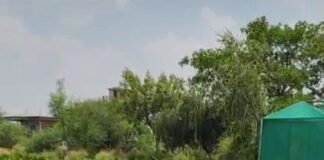 उत्तर प्रदेश : 12 जुलाई को ‘एक पेड़ मां के नाम’ थीम पर होगा वृहद वृक्षारोपण अभियान: अमेठी में 53.66 लाख पौधे रोपित करने का लक्ष्य