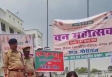 अमेठी में आज से वन महोत्सव की शुरुआत, सीडीओ पूजा साहू ने विकास भवन में लगाया पौधा