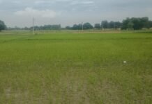 Uttar Pradesh : बारिश की बेरुखी से किसान परेशान, बढ़ती गर्मी ने बढ़ाई किसानों की परेशानी, नलकूपों के सहारे सिंचाई…
