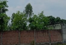 उत्तर प्रदेश : धूप से मिली राहत, उमस बनी आफत; गोंडा में झमाझम बारिश का इंतजार
