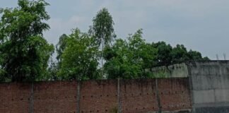 उत्तर प्रदेश : धूप से मिली राहत, उमस बनी आफत; गोंडा में झमाझम बारिश का इंतजार