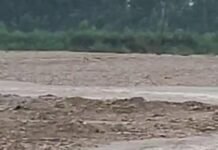 उत्तर प्रदेश : बारिश बनी आफत; उफनाई खुवासपुर नदी में बही बाइक, ग्रामीणों की सूझबूझ से टला बड़ा हादसा