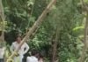 उत्तर प्रदेश : बाग में मिला 17 वर्षीय किशोरी का शव, गले पर मिले फंदे के निशान; जांच में जुटी पुलिस