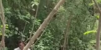 उत्तर प्रदेश : बाग में मिला 17 वर्षीय किशोरी का शव, गले पर मिले फंदे के निशान; जांच में जुटी पुलिस