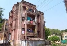 उत्तर प्रदेश: जर्जर टीबी अस्पताल कॉलोनी में जान जोखिम में डालकर रहने को मजबूर स्वास्थ्यकर्मी, दो दशक से नहीं हुई रंगाई-पुताई