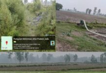 सूखी पड़ी शारदा सहायक नहर की शाखा; धान की रोपाई पर मंडराया संकट, डीजल इंजन से सिंचाई को मजबूर किसान