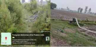 सूखी पड़ी शारदा सहायक नहर की शाखा; धान की रोपाई पर मंडराया संकट, डीजल इंजन से सिंचाई को मजबूर किसान