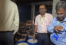Fatehpur: मिलावट पर प्रशासन का बड़ा वार: 30 कुंतल मिठाई नष्ट, 134 किलो रिफाइंड तेल सीज