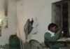 Hathras: सिकंदरा राऊ में विद्युत संविदाकर्मी का बीयर पीते वीडियो वायरल, बिजलीघर को बनाया बीयर बार