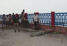 UP: घाघरा बैराज पर पहुंचा विशाल घड़ियाल और उदबिलाव, वन विभाग ने सुरक्षित किया रेस्क्यू