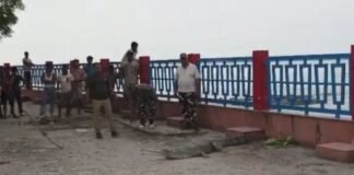 UP: घाघरा बैराज पर पहुंचा विशाल घड़ियाल और उदबिलाव, वन विभाग ने सुरक्षित किया रेस्क्यू