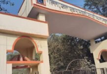 UP: रक्षाबंधन-जन्माष्टमी की तैयारी से मथुरा की मंडियों में बढ़ी रौनक, किराना में तेजी तो सब्जियों के दाम रहे मिले-जुले