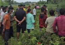 मिर्जापुर: खेत में मिला 8 माह की बच्ची का कंकाल, चार दिन पहले हुई थी लापता, पोस्टमार्टम और फॉरेंसिक जांच शुरू