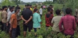 मिर्जापुर: खेत में मिला 8 माह की बच्ची का कंकाल, चार दिन पहले हुई थी लापता, पोस्टमार्टम और फॉरेंसिक जांच शुरू