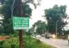 रायबरेली PWD की नई पहल! बस डायल करें 1800-121-5707, सड़क से गाय-भैंस पहुंच जाएंगी गोशाला