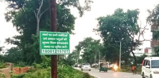 रायबरेली PWD की नई पहल! बस डायल करें 1800-121-5707, सड़क से गाय-भैंस पहुंच जाएंगी गोशाला