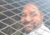 UP: रायबरेली में आरपी यादव की हुंकार से गरमाई सियासत, ‘समय बदलेगा’ के बयान पर चर्चा तेज
