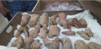 वाराणसी: 70 साल बाद खुले BHU के 5 जर्जर बक्से, 5 हजार साल पुराने इतिहास से उठ सकता है पर्दा!
