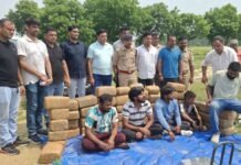 मथुरा: खाद की आड़ में गांजे की बड़ी खेप पकड़ी, पांच गिरफ्तार, ओडिशा से ट्रक में छिपाकर लाया था 2.51 क्विंटल गांजा