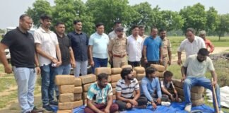 मथुरा: खाद की आड़ में गांजे की बड़ी खेप पकड़ी, पांच गिरफ्तार, ओडिशा से ट्रक में छिपाकर लाया था 2.51 क्विंटल गांजा