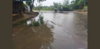 UP: अजनौरा मोड़ पर जलभराव से राहगीर परेशान, बारिश में तालाब बन जाता है मुख्य मार्ग