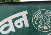 मुरादाबाद में तेंदुओं पर AI की नजर, 24 घंटे निगरानी का प्लान तैयार