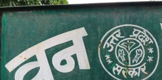 मुरादाबाद में तेंदुओं पर AI की नजर, 24 घंटे निगरानी का प्लान तैयार