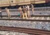 UP: रूपामऊ रेलवे स्टेशन के पास मिला सेना के जवान का शव, मौत की वजह तलाश रही पुलिस