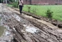 UP: नगला पाण्डेय में बदहाल सड़क और जलभराव से ग्रामीण परेशान, स्कूल जाने वाले छोटे-छोटे बच्चों और राहगीरों को भारी दिक्कत