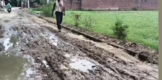UP: नगला पाण्डेय में बदहाल सड़क और जलभराव से ग्रामीण परेशान, स्कूल जाने वाले छोटे-छोटे बच्चों और राहगीरों को भारी दिक्कत