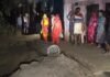 UP: सुजाबाद में सीवर कार्य के दौरान गिरा विशाल पेड़, JCB के सहारे टला बड़ा हादसा