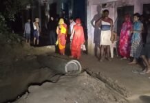 UP: सुजाबाद में सीवर कार्य के दौरान गिरा विशाल पेड़, JCB के सहारे टला बड़ा हादसा