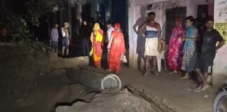 UP: सुजाबाद में सीवर कार्य के दौरान गिरा विशाल पेड़, JCB के सहारे टला बड़ा हादसा